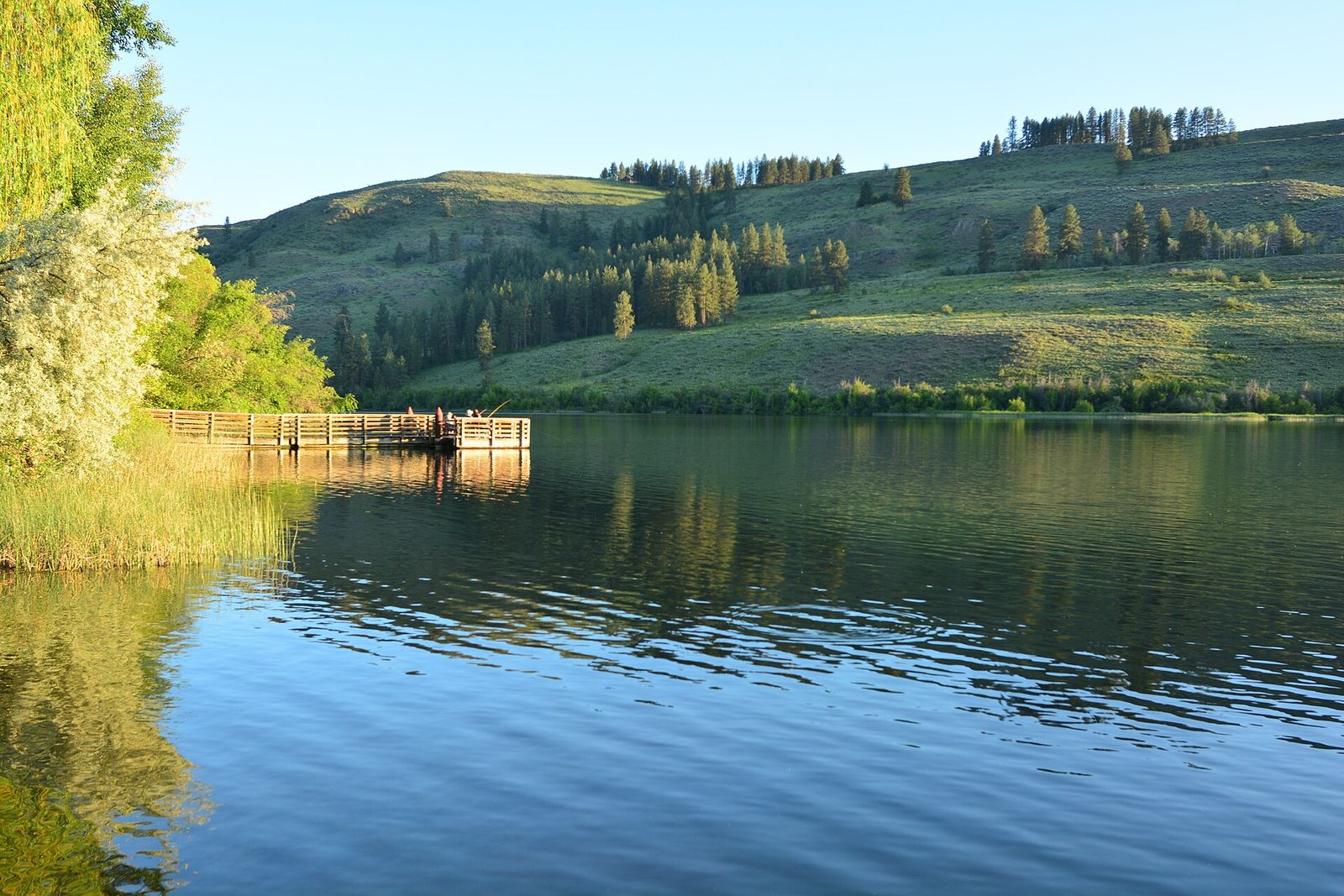 Calm blue lake with a wooden dock and green hills on a sunny day at Pearrygin Lake
